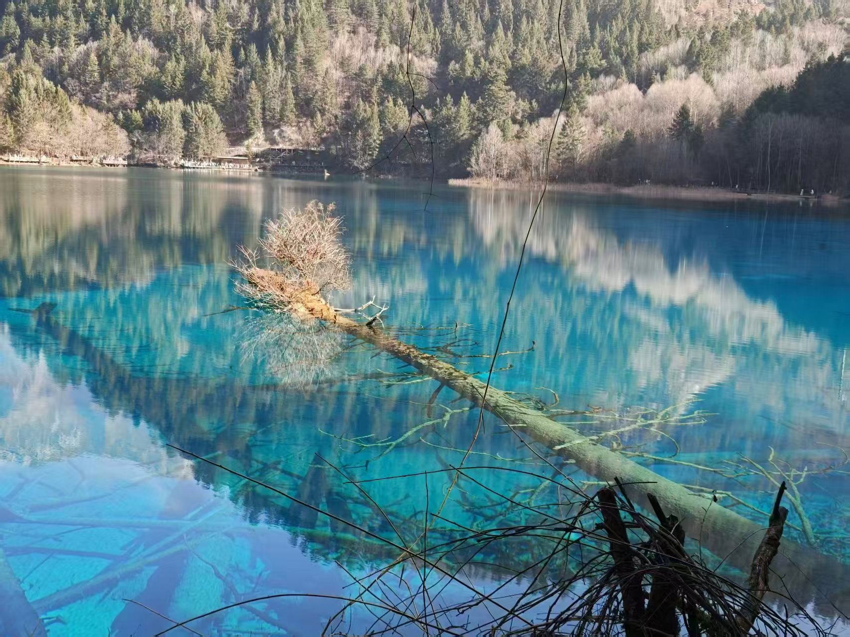 1767762264545672.jpg 1767762264545672.jpg