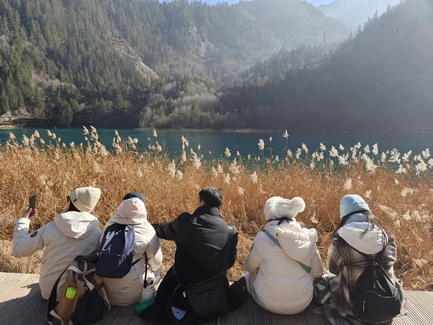 1767762265277485.jpg 1767762265277485.jpg