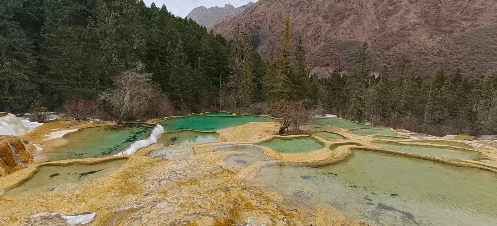 1767762266186141.jpg 1767762266186141.jpg